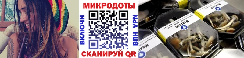 Псилоцибиновые грибы Cubensis  Бирюч 